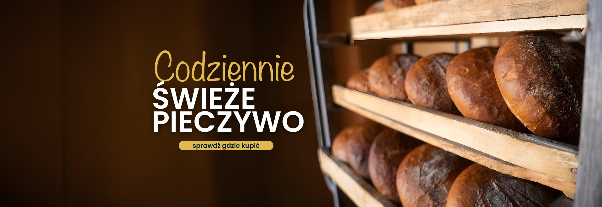 banery na główną-06